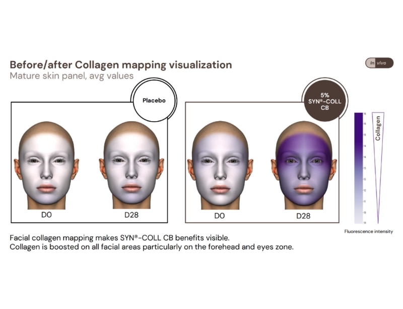 800-615-Collagen-mapping-viz5 - 1