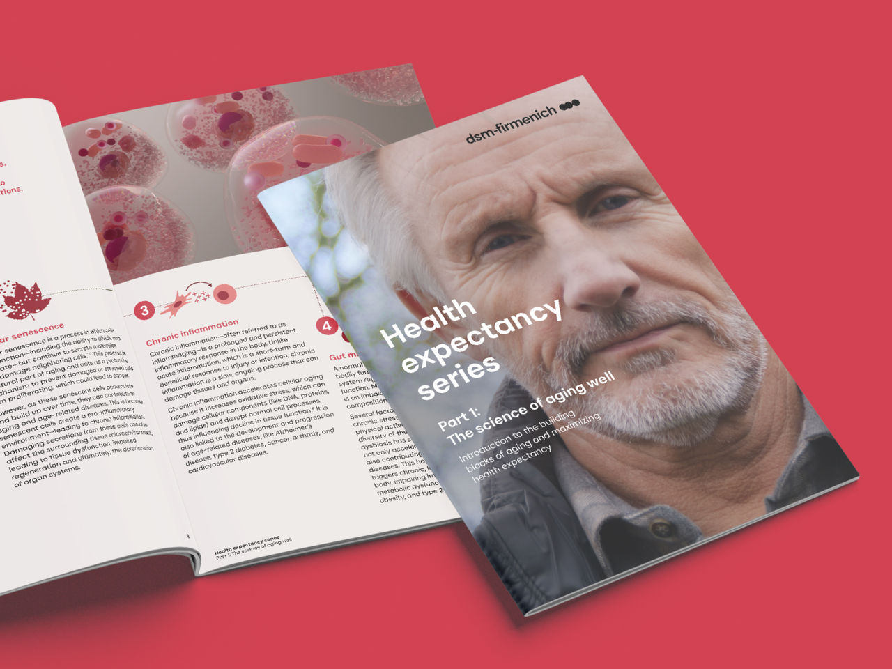 Health expectancy whitepaper 1 mockup image