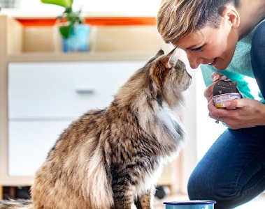 petfood